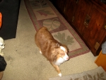 101125-thanksgiving-012