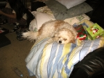 101225-xmas-day-005
