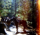 197008-labcc-014