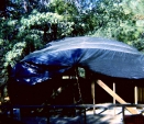 197008-labcc-016