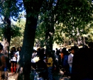 197008-labcc-020