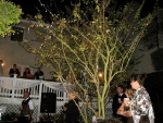 101002-wilson-wedding-112