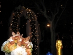 101002-wilson-wedding-113